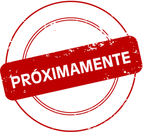 pastillas de freno premium semimetalizadas gg_1011616